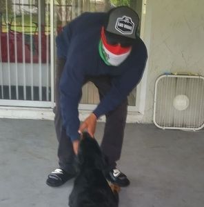 Meet your Posher, Rex